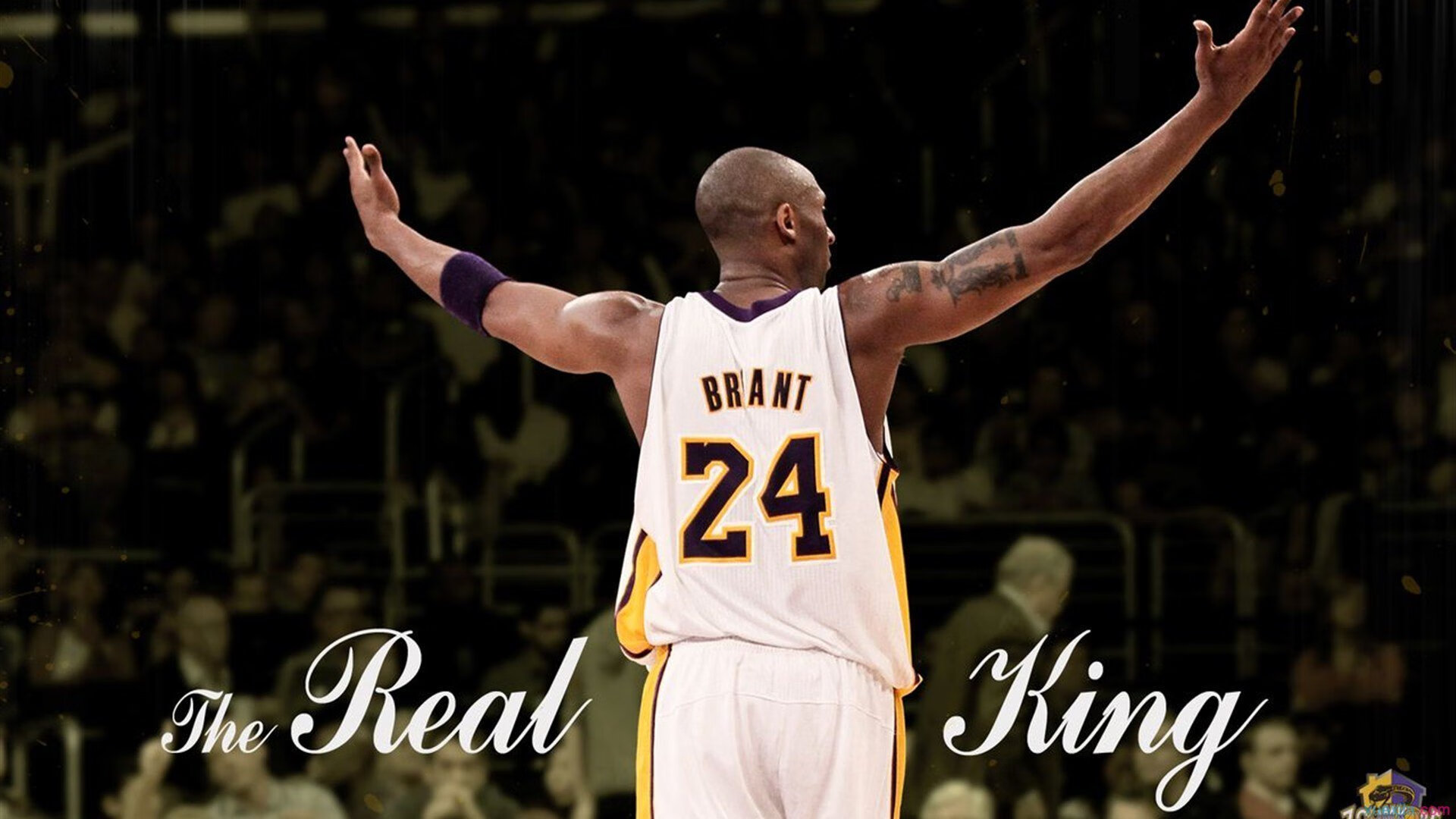 弗拉霍维奇爆发，马里强势晋级，挪威的足球启示录