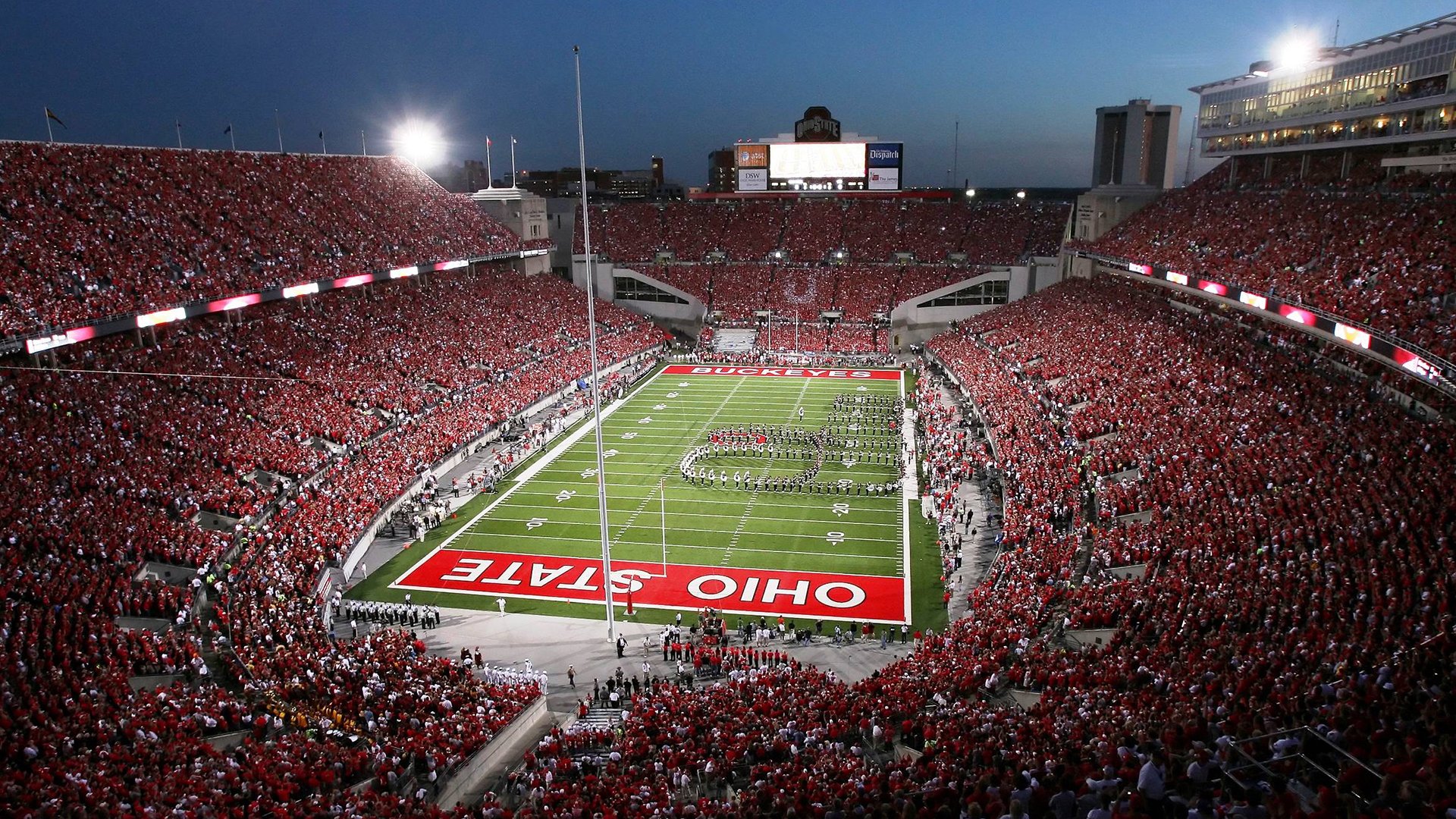 新疆雪莲怒放天山，终结华南虎王朝的最后图腾