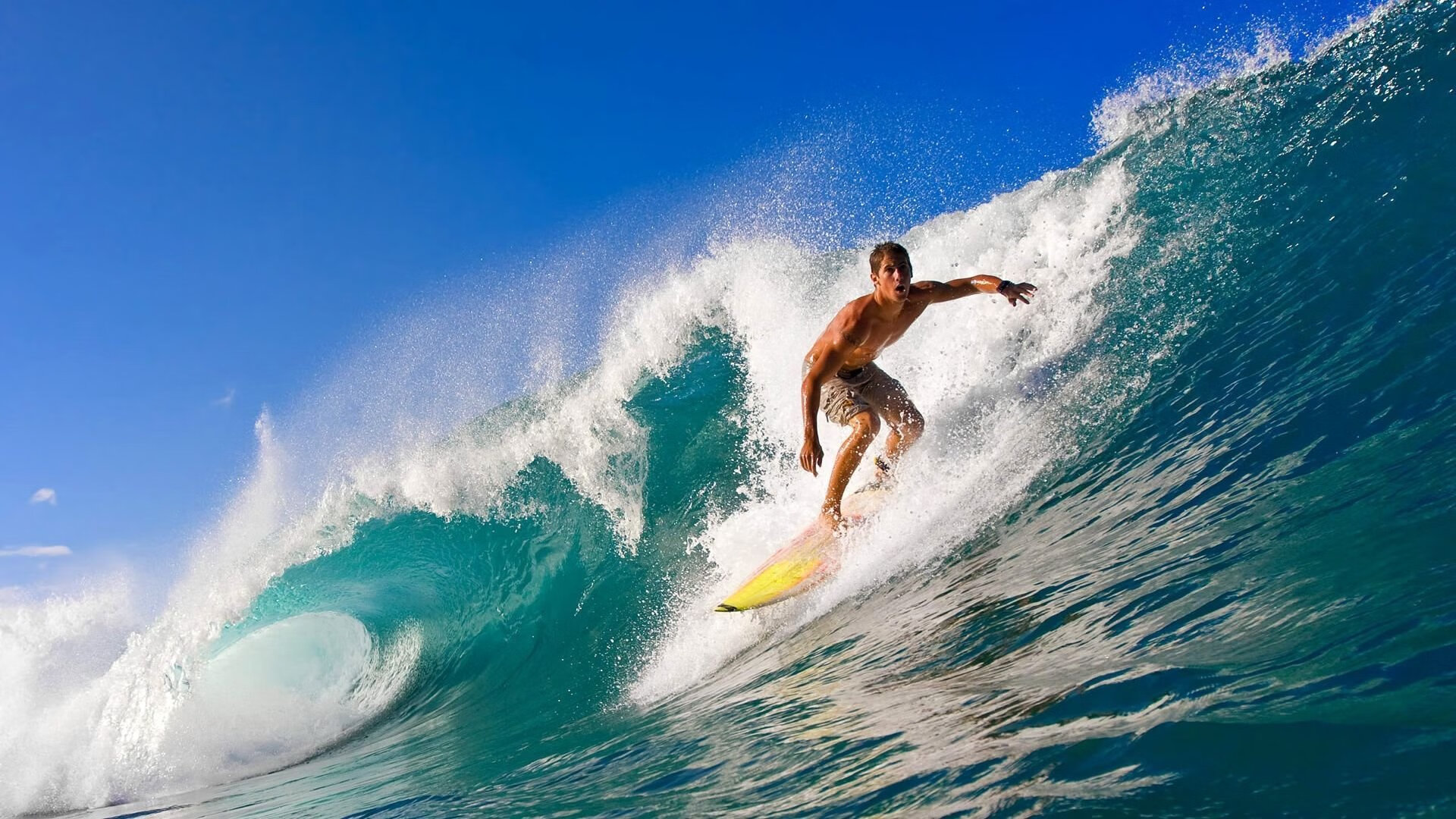 苏格兰一波带走阿尔及利亚，当足球成为第三世界的无声呐喊